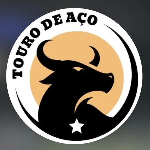 Touro de Aço